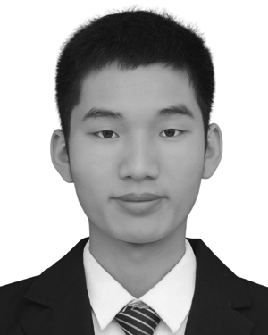 Haiyang Yang