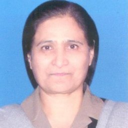Zaigham Habib