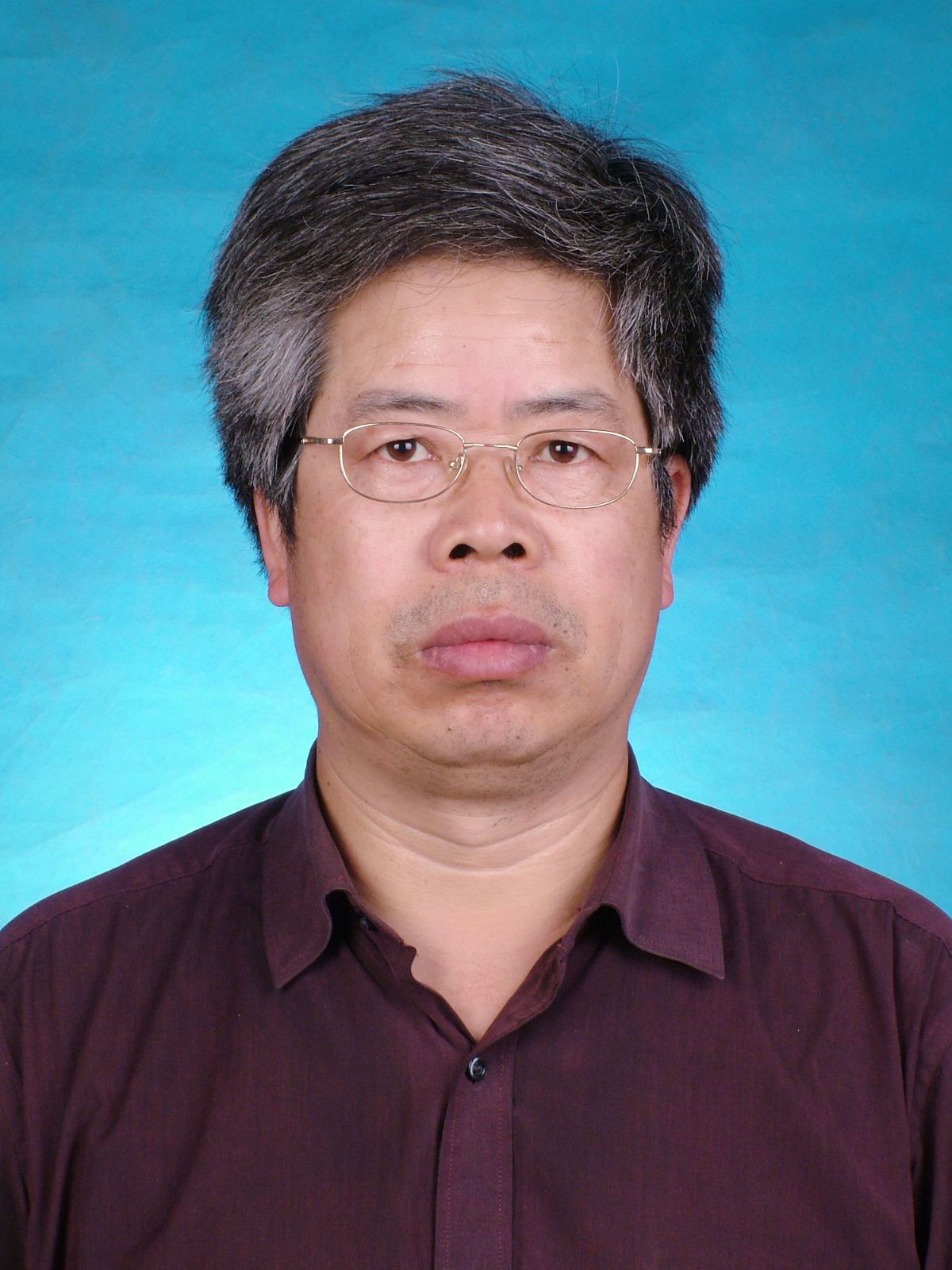 Zhaohua Luo