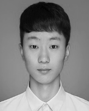 Zhiwei Wen