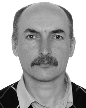 Andrey V Brantov