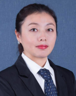 Lin Feng