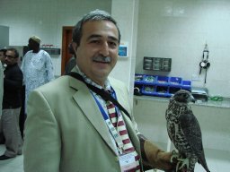 Elchin Sultanov
