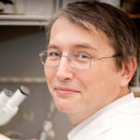 Vladimir Lollievich Zamoyski