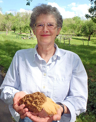 Karin E Limburg (Karin Limburg)