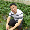 Hui-Peng Song