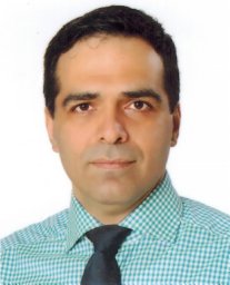 S. Ali Khajehoddin