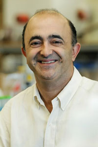 Anoush Poursartip