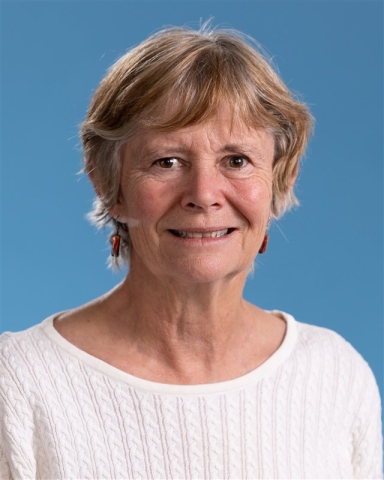 Anne Giblin