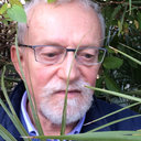 Enrico Banfi