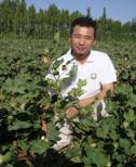 Zhi Liu