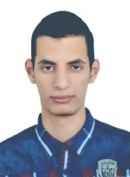 Mohamed Shemis
