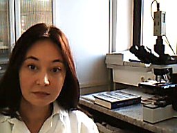 Sanja Stifter