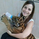 Denise Chiconato