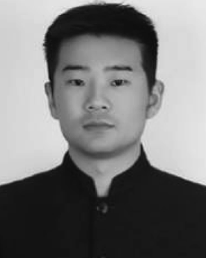 Shulei Li