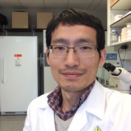 Mengfei Chen