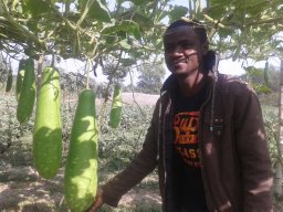 Aliyu Akilu Barau