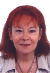S. I. Gubenko