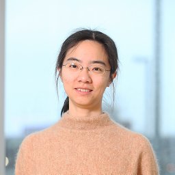Liu Xing