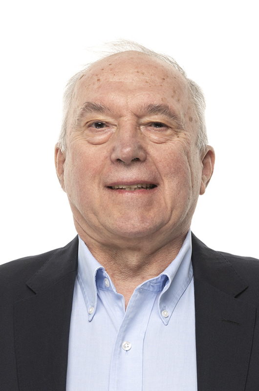 Volodymyr A. Yartys