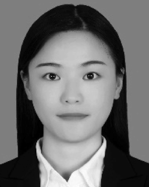 Yanmin Xia
