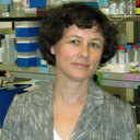 Irina U Agoulnik