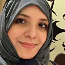 Raja Ebsim