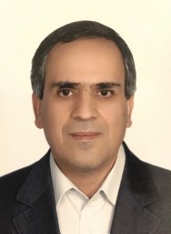 S. Mohammad Hosseini