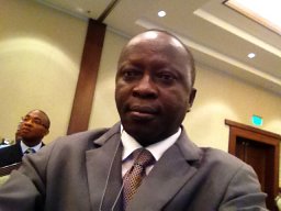 Emmanuel C. Ibezim