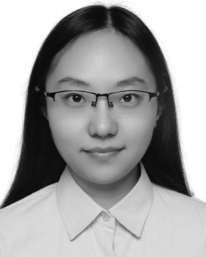 Wenwen Li