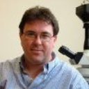 Ian Glasspool