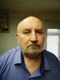 V.A. Petukhov