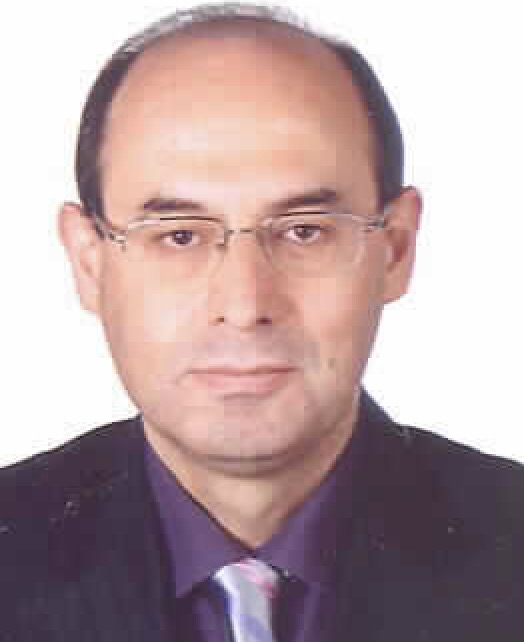 Ayhan Kesimal