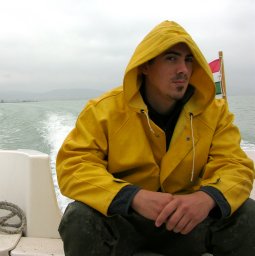 Attila Mozsár