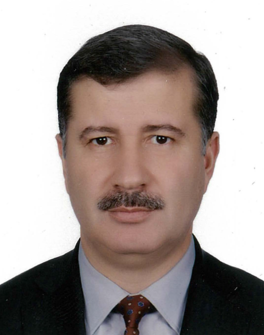 İlhami Gülçin