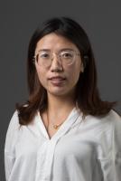 Limei Chen