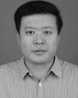 yin cai