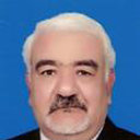 Refaat Nessim
