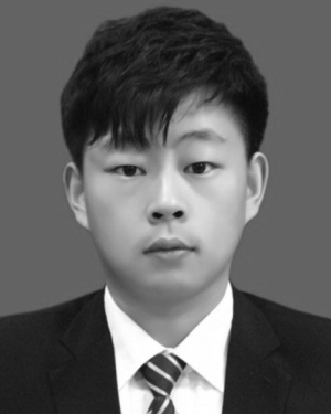 Huixu Luan