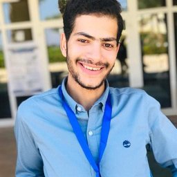 Ali M Karkour