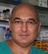 Marrelli Daniele