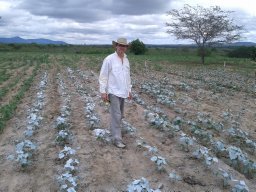 Jorge B. Torres