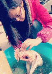 Xia Gao