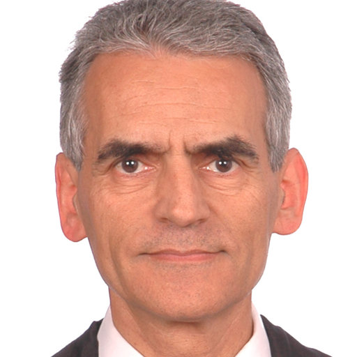 Ramon Pallas Areny