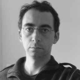Enrico Calzavarini
