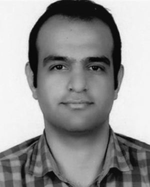 Sayyed Hamed Alizadeh Moghaddam