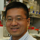 Paul M Hwang