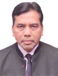 Himadri B Bohidar
