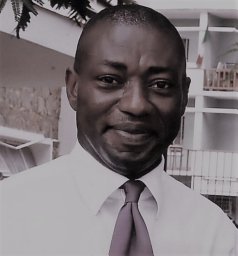 Ezebunwa E. Nwokocha