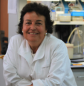 Maria José Figueras